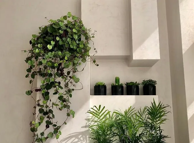 T1 No Centro Te-u Torres Vedras