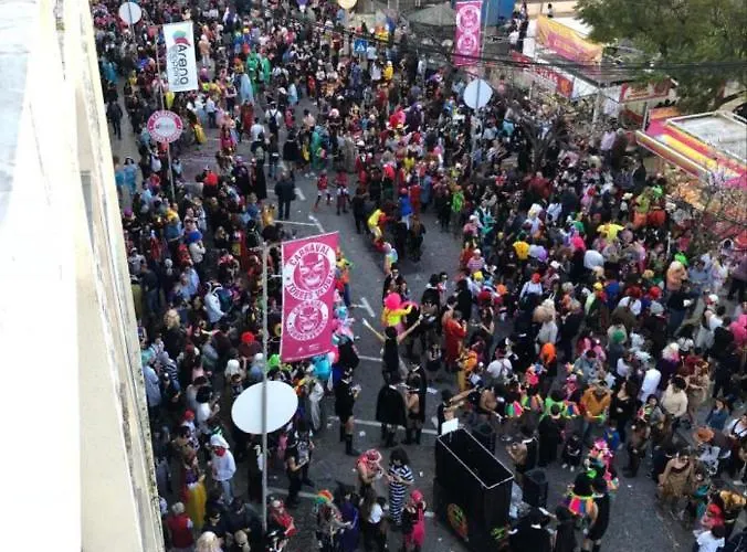 Апартаменты T1 No Centro Te-u *